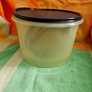 Tupperware Snack Bucket with Carrolier green with blue seal